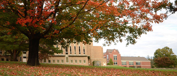 SEU campus in the fall