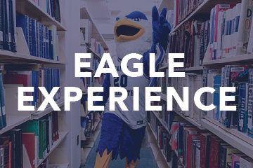 Eagle Experience